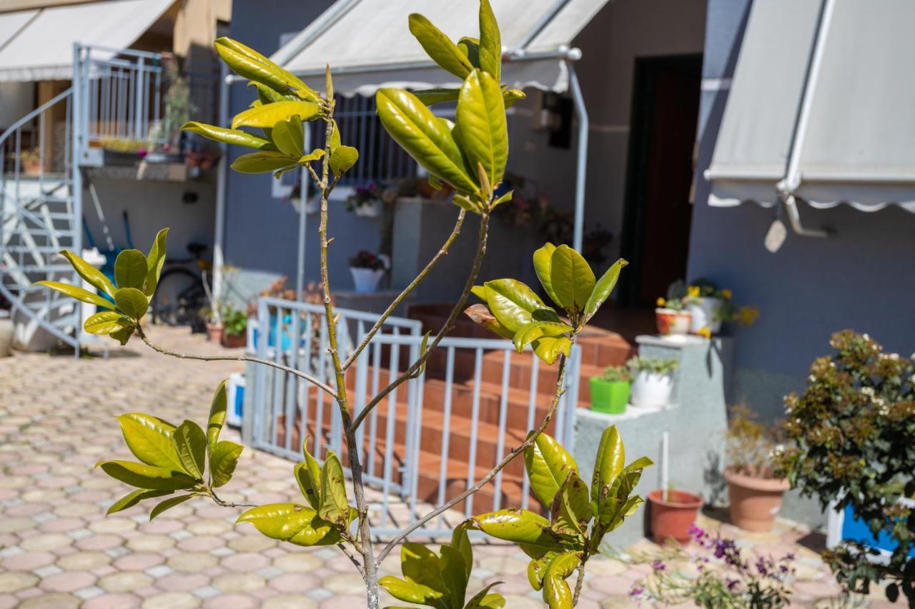 Aulona Holiday home *